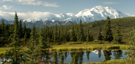 Discover Alaska Cruises and Cruise Tours