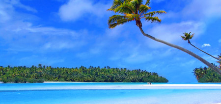 Hawaii Vacations